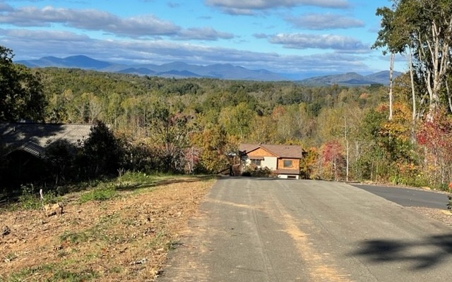 35 Staurolite Mountain Road Blue Ridge, GA 30513 - Photo 2 of 11 Additional View