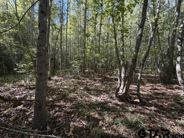 0 County Road 1206 Rusk, TX 75785 - Photo 15 of 27 Gallery Image 15