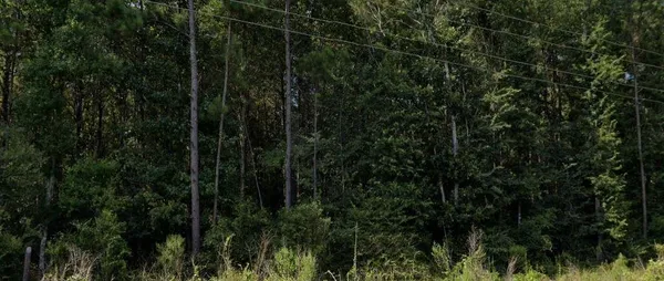 $150,000 | 107 Hwy Pineville La, Pineville, LA 71360