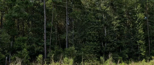 $150,000 | 107 Hwy Pineville La, Pineville, LA 71360