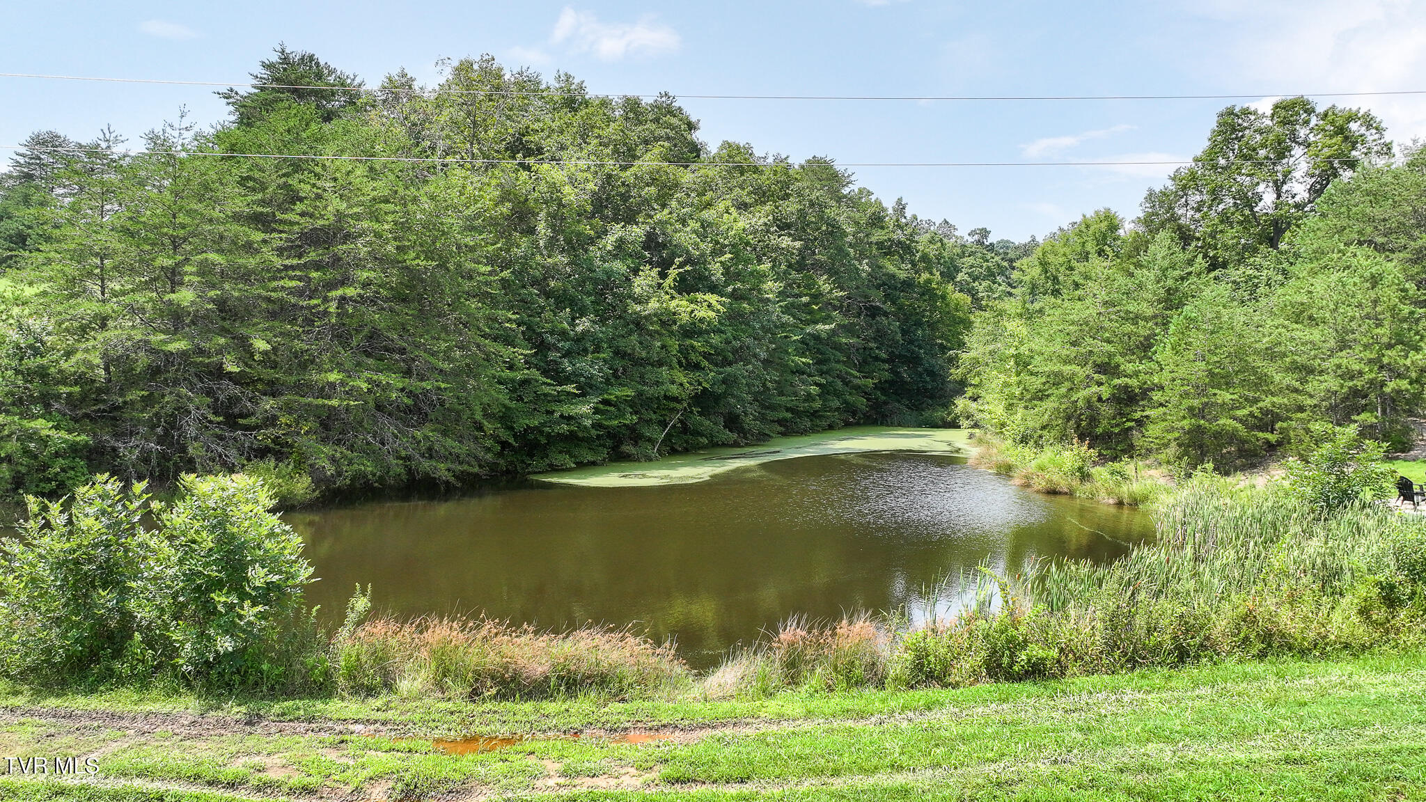 5905 Whitehouse Road Greeneville, TN 37745 - Photo 37 of 47 36