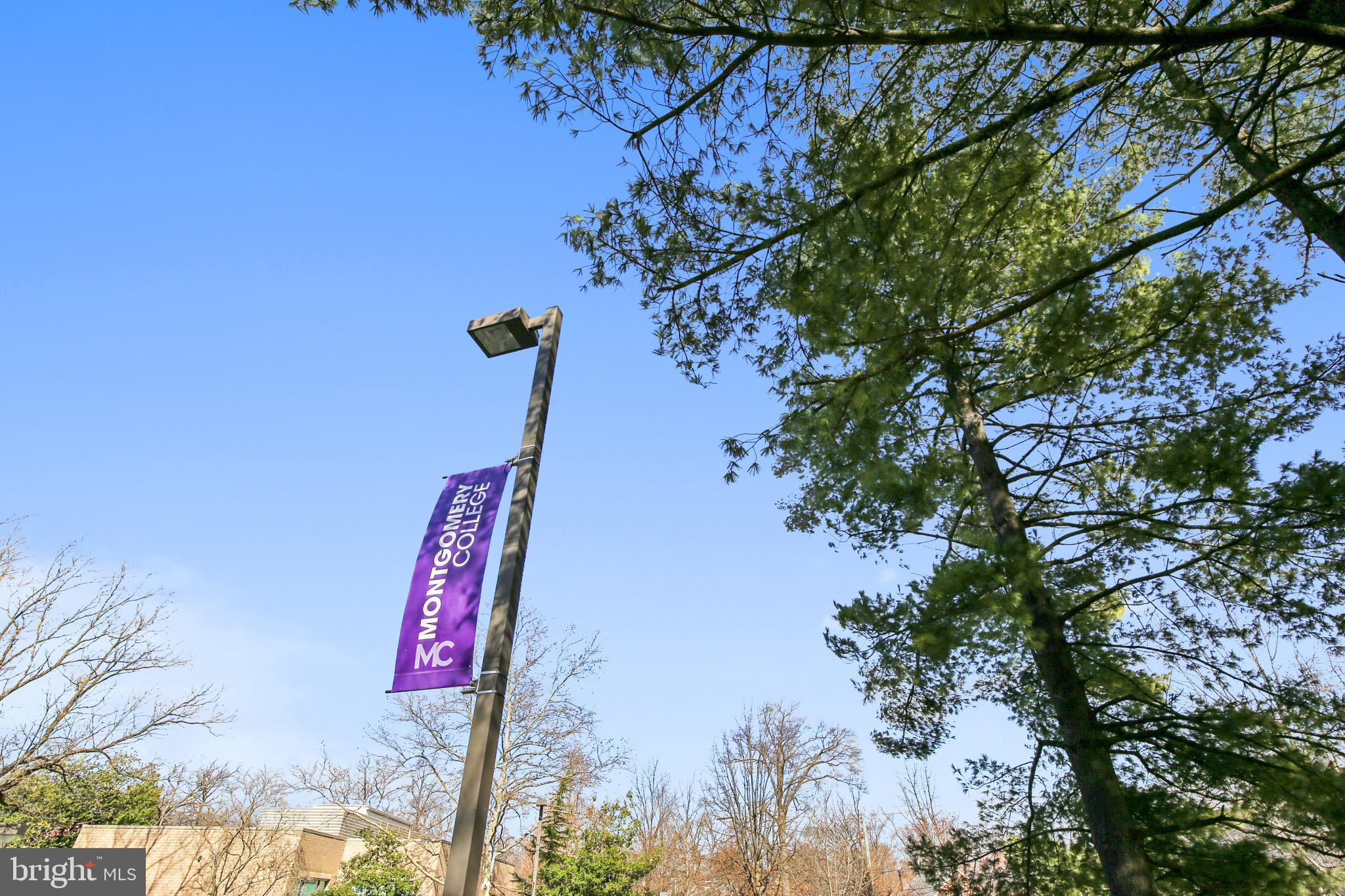 1423 Decatur Street Northwest Washington, DC 20011 - Photo 89 of 139