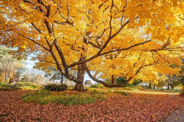 $799,900 | W7429 510th Avenue, Ellsworth, WI 54011