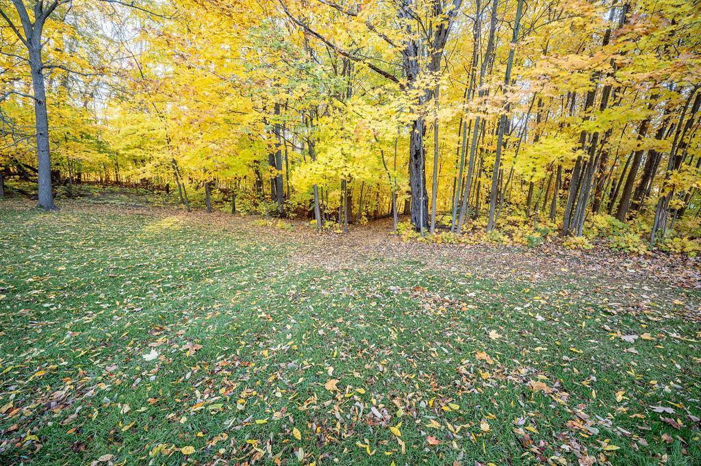 W7429 510th Avenue Ellsworth, WI 54011 - Photo 47 of 54