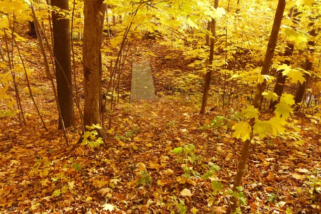 $799,900 | W7429 510th Avenue, Ellsworth, WI 54011