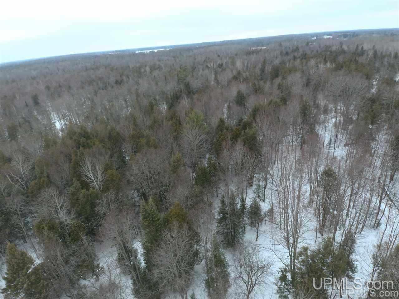 Tbd Winters/savola Road Trenary, MI 49891 - Photo 16 of 19