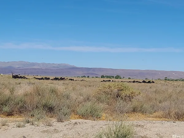 a view of lake and mountain