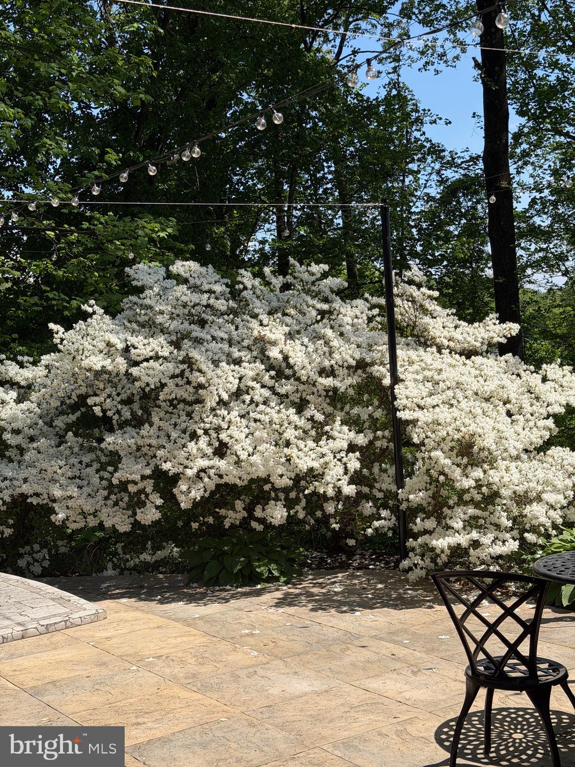 8309 Old Seven Locks Road Bethesda, MD 20817 - Photo 14 of 16