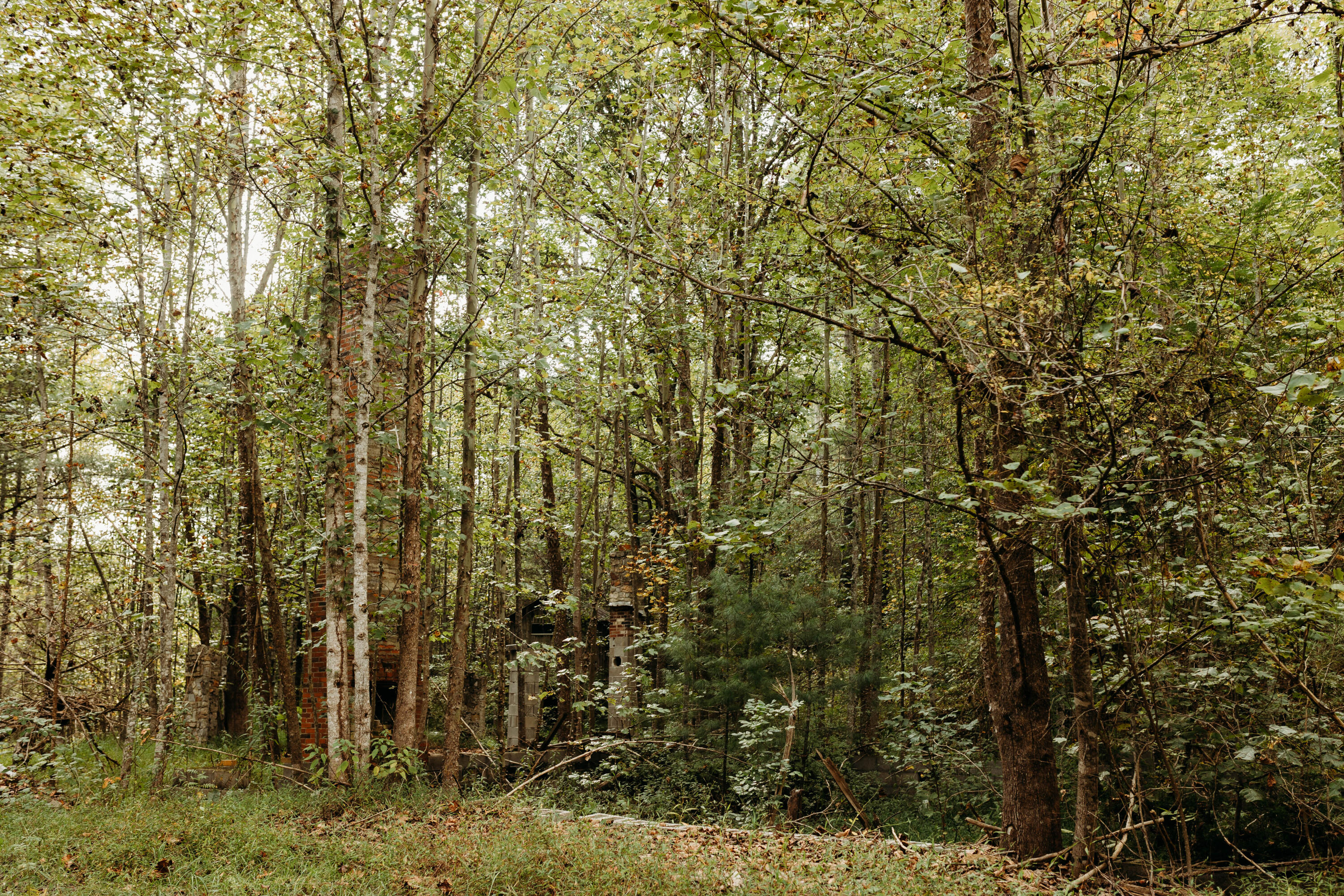 Tbd Lot 25 Tbd Road Campton, KY 41301 - Photo 6 of 17 FO7A1078