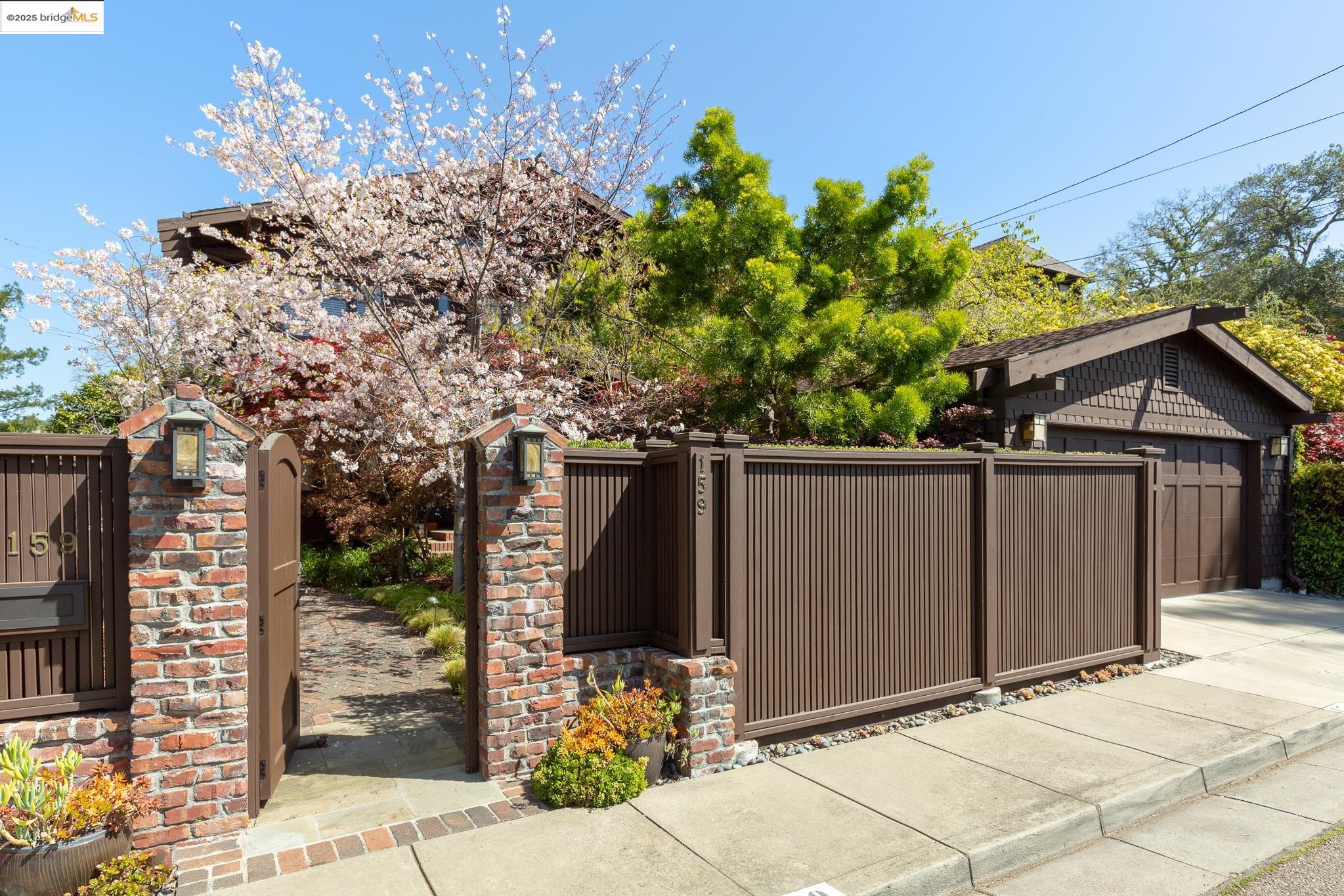a view of backyard with potted plants
