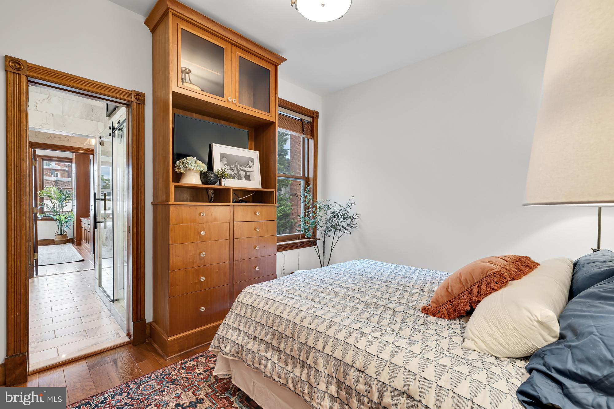 311 6th Street Southeast, Unit 3 Washington, DC 20003 - Photo 25 of 30 Custom Built-In Dresser