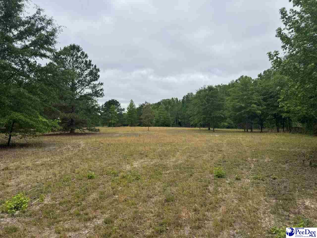 Daniel Chapel Road McColl, SC 29570 - Photo 28 of 42 Gallery Image 28