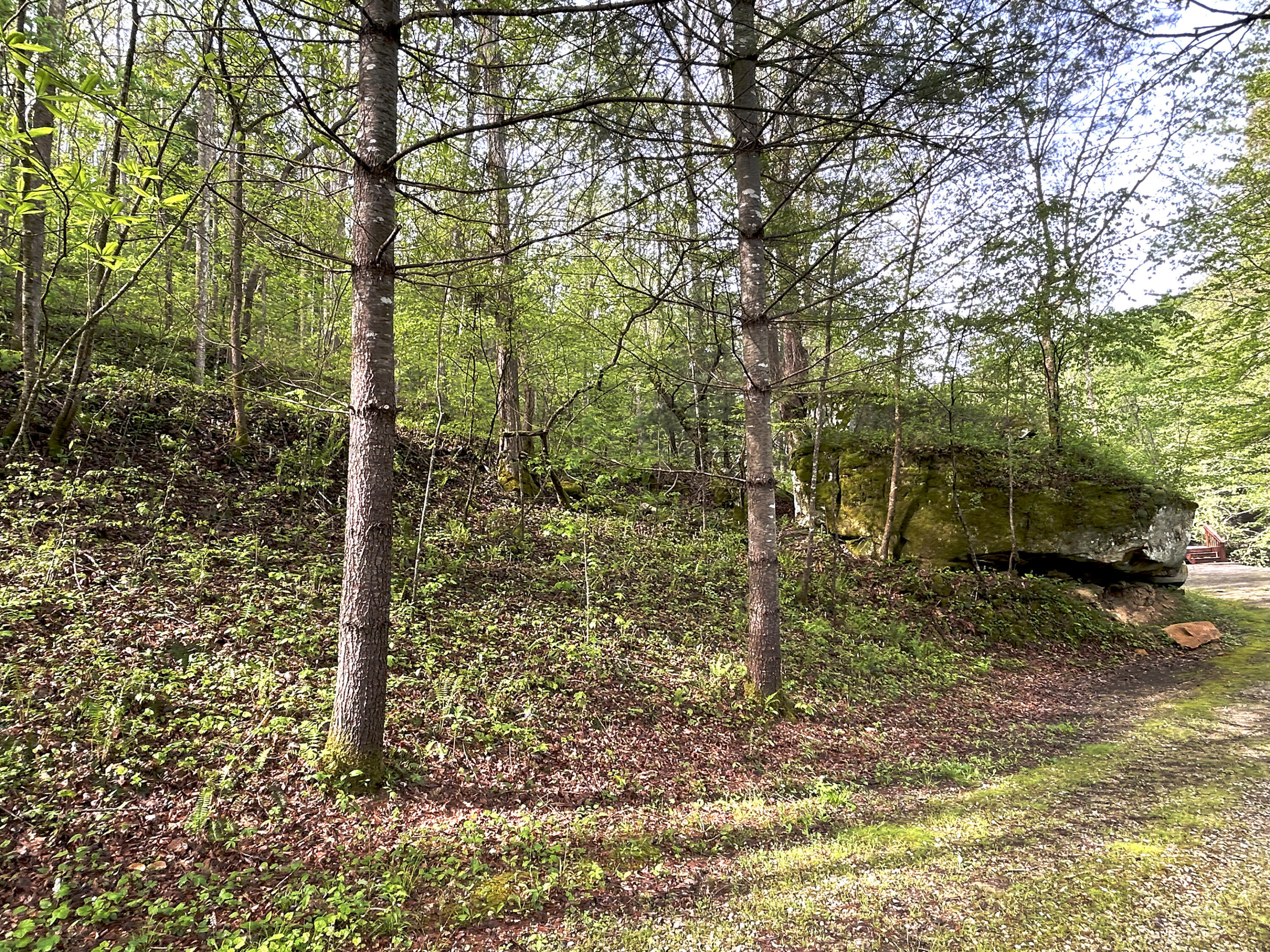 1180 Raccoon Creek Road Sandgap, KY 40481 - Photo 44 of 60 IMG_2536