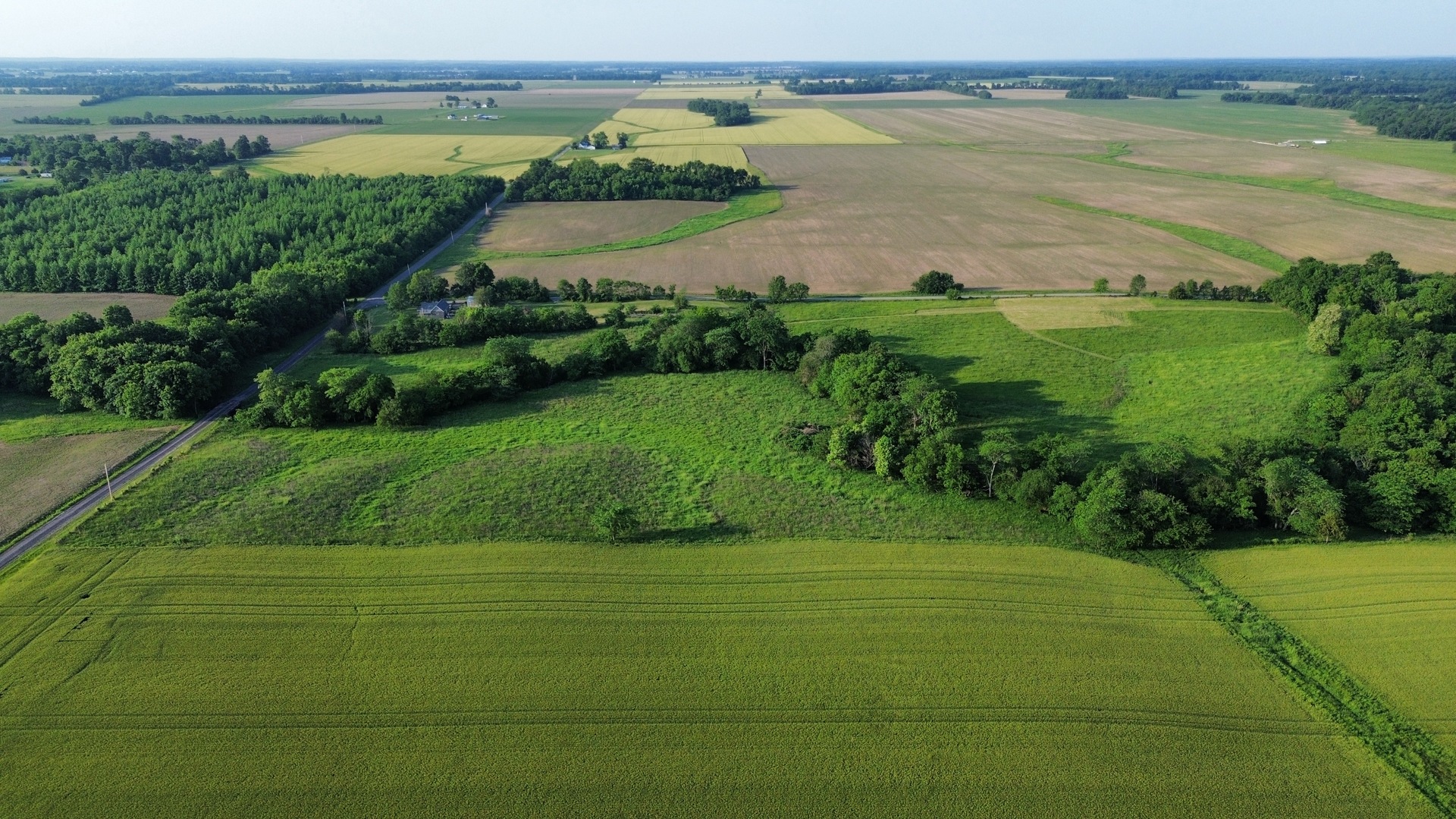 0 County Highway 29 Road Rinard, IL 62878 - Photo 6 of 28
