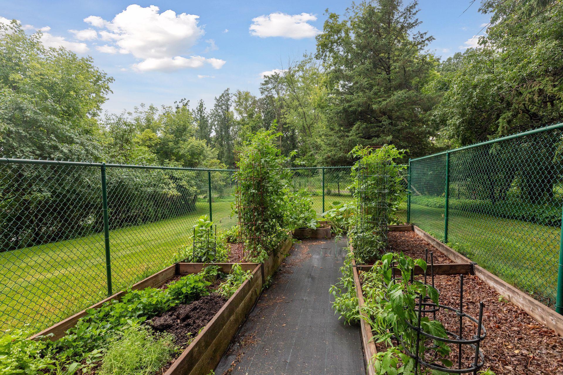 260 Salem Church Road Sunfish Lake, MN 55118 - Photo 53 of 65