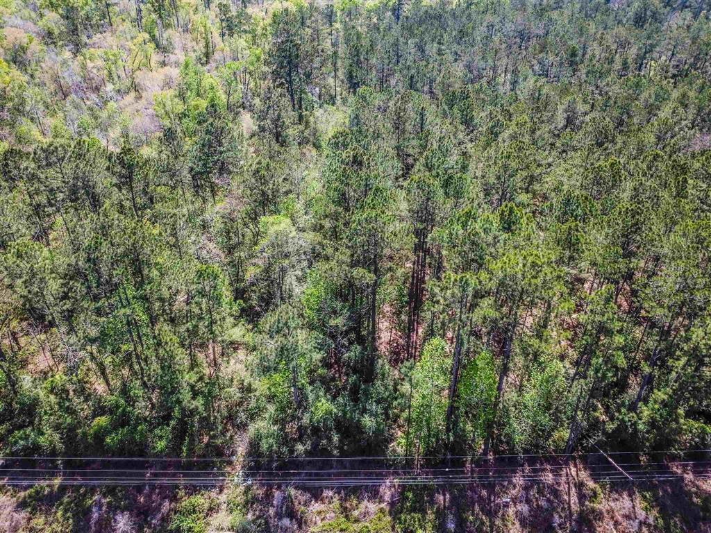 Tbd East Houston River Road Sulphur, LA 70663 - Photo 6 of 9 Gallery Image 6