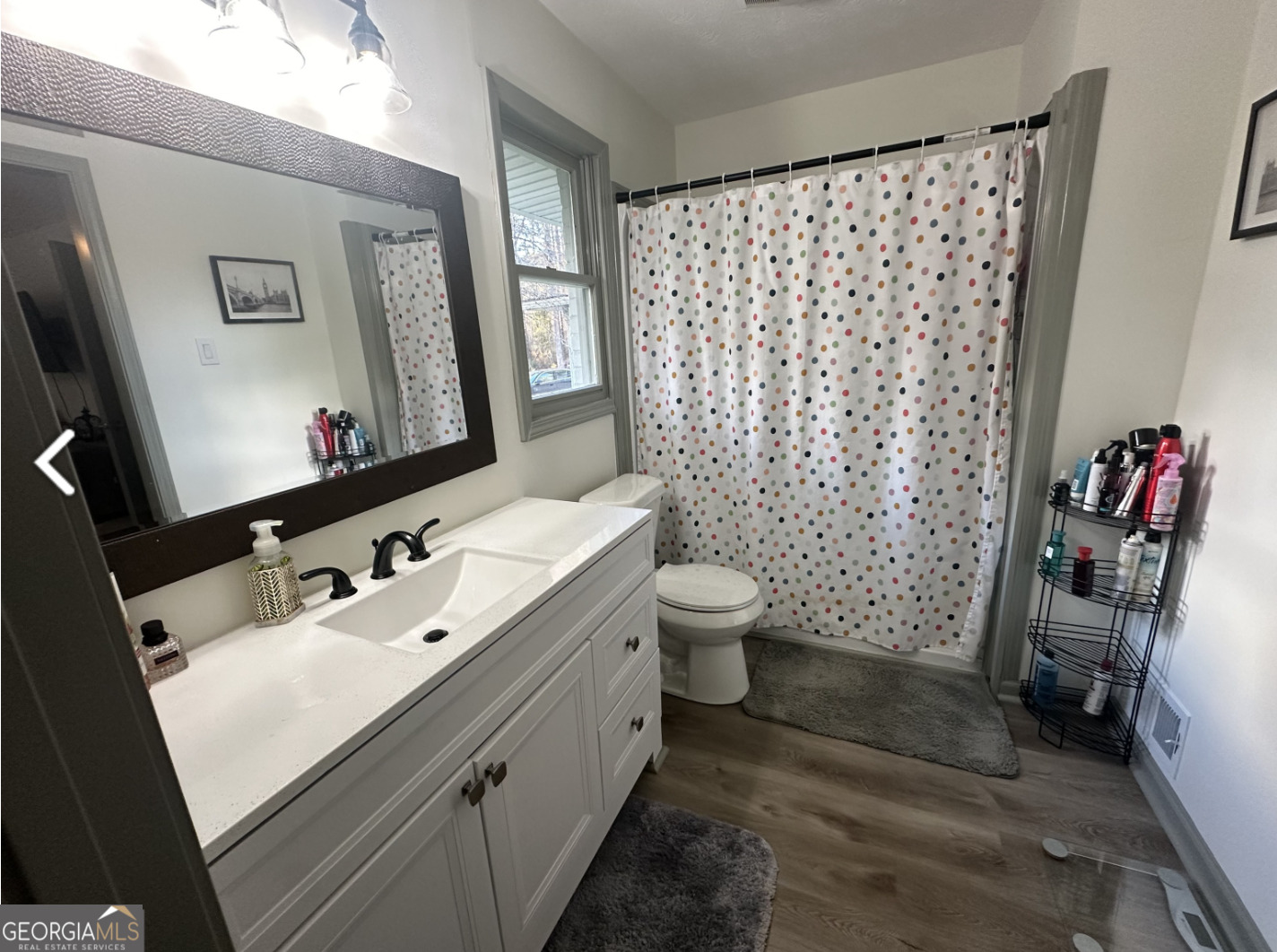 2775 Jackson Road Griffin, GA 30223 - Photo 22 of 30 a bathroom with a sink mirror vanity and toilet