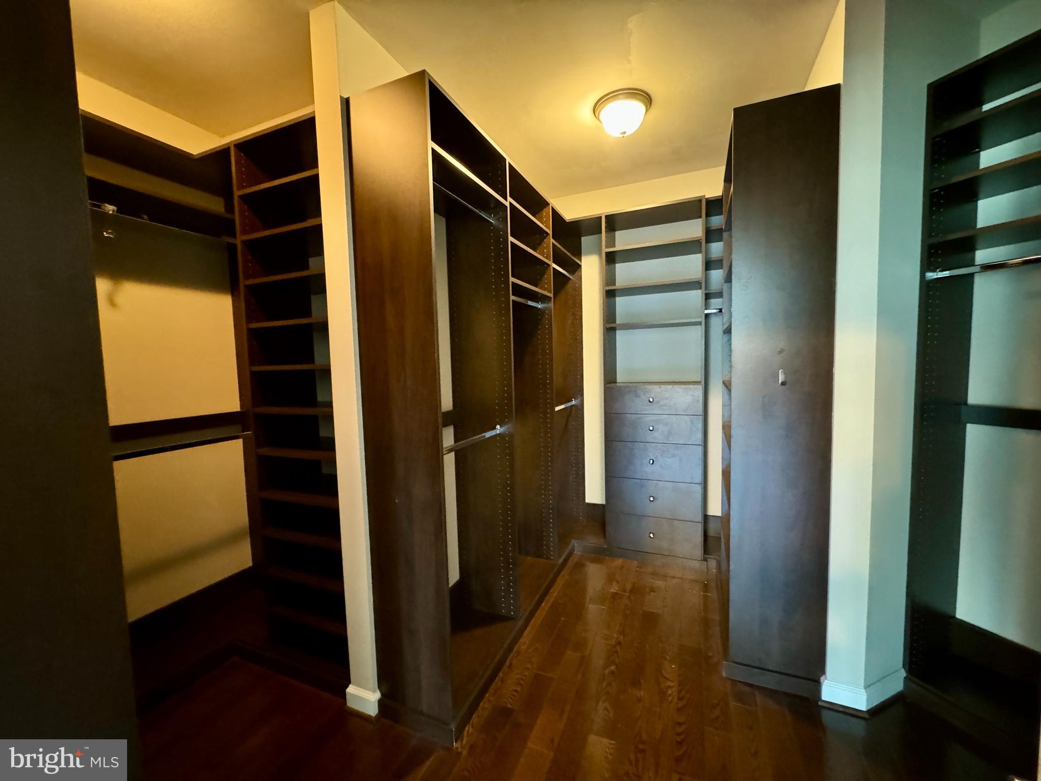 42403 Pine Forest Drive Chantilly, VA 20152 - Photo 17 of 37 a view of walk in closet