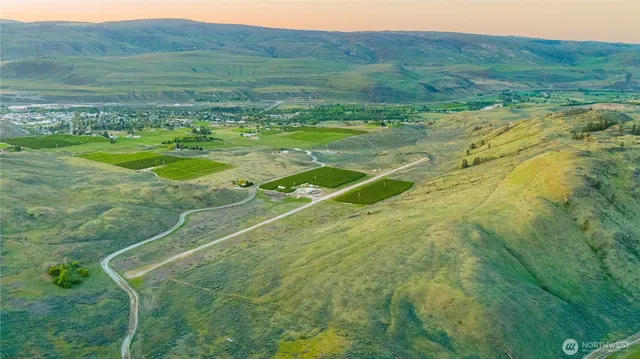 a view of a field with an trees
