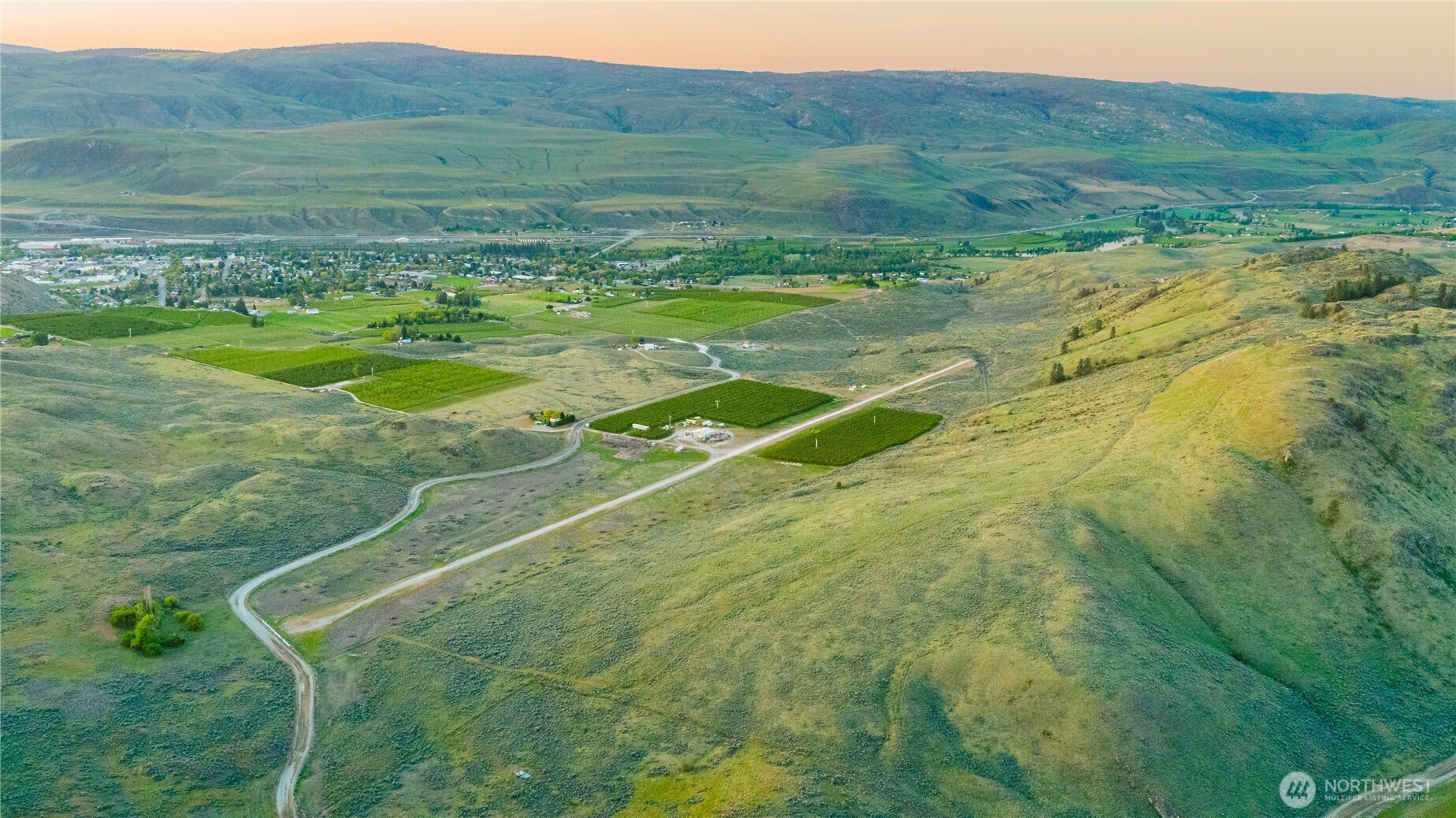 a view of a field with an trees