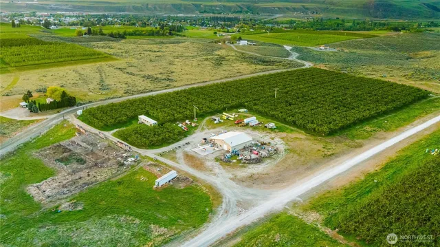 a view of a field with an ocean