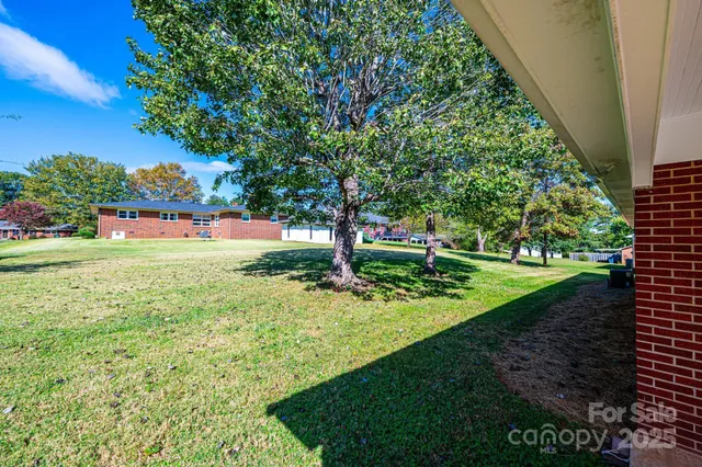 a view of a park with large trees