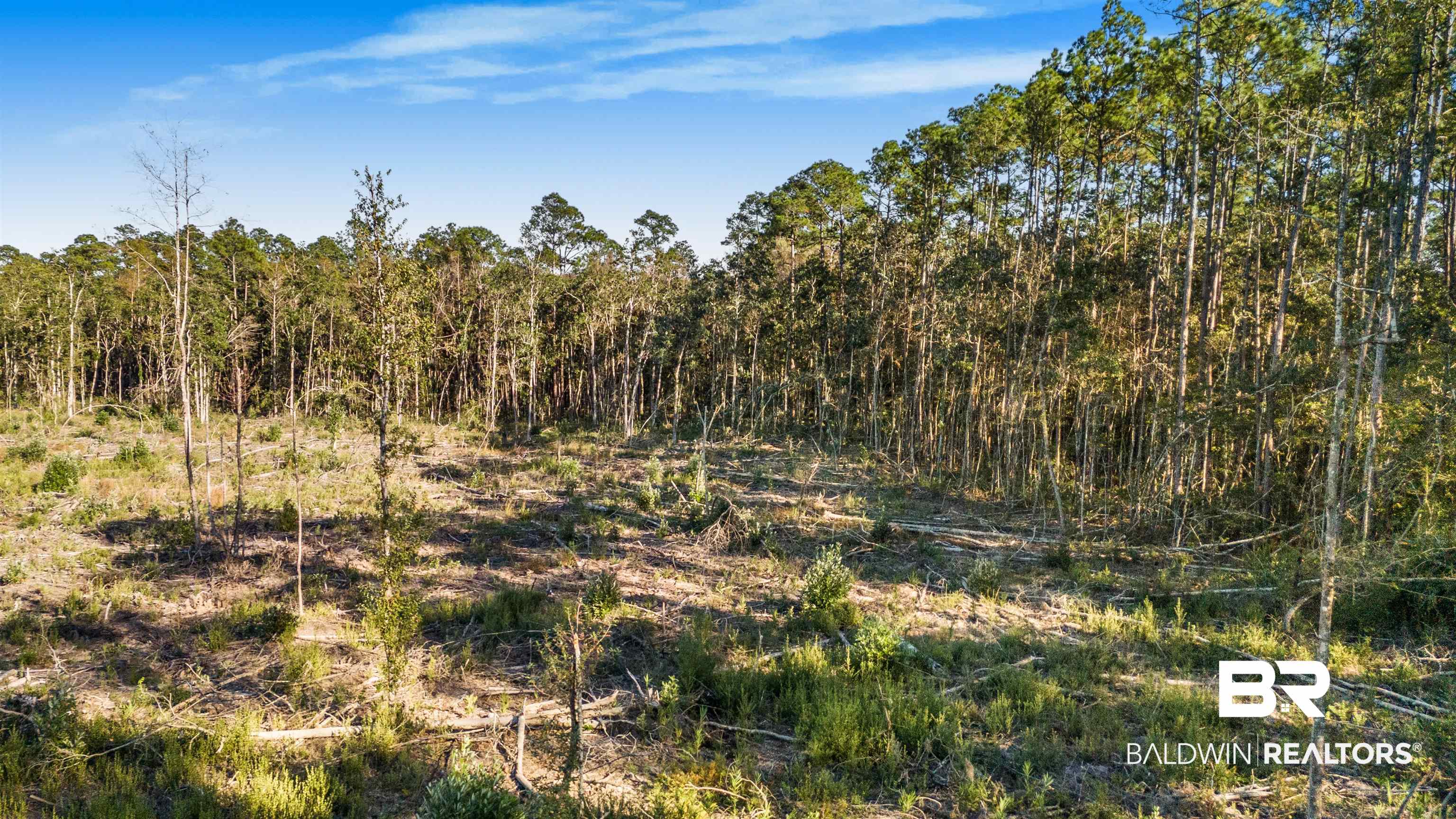 0 County Road 112 Robertsdale, AL 36567 - Photo 32 of 33 View of local wilderness