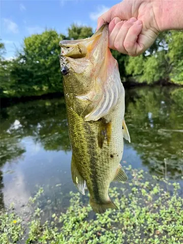 $135,000 | 9833 R And R Circle, Unit LOT 3, Kemp, TX 75143