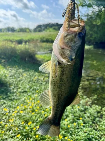 $135,000 | 9833 R And R Circle, Unit LOT 3, Kemp, TX 75143