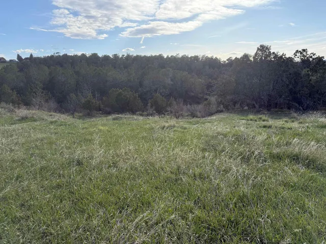 $36,000 | 14495 Scott Loop, Collbran, CO 81624