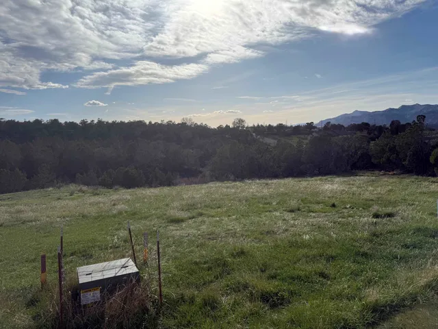 aerial view of a yard