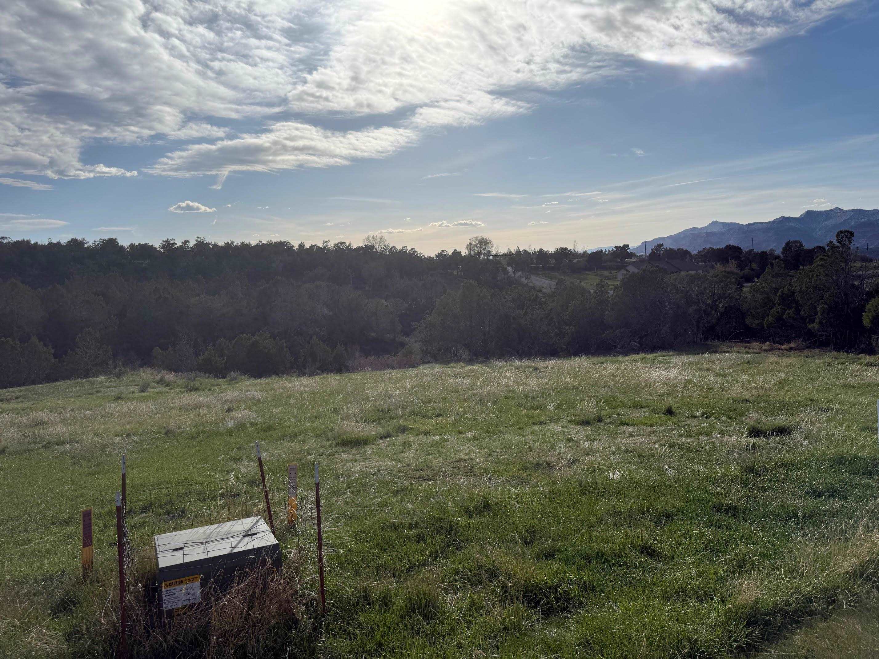 14495 Scott Loop Collbran, CO 81624 - Photo 5 of 12