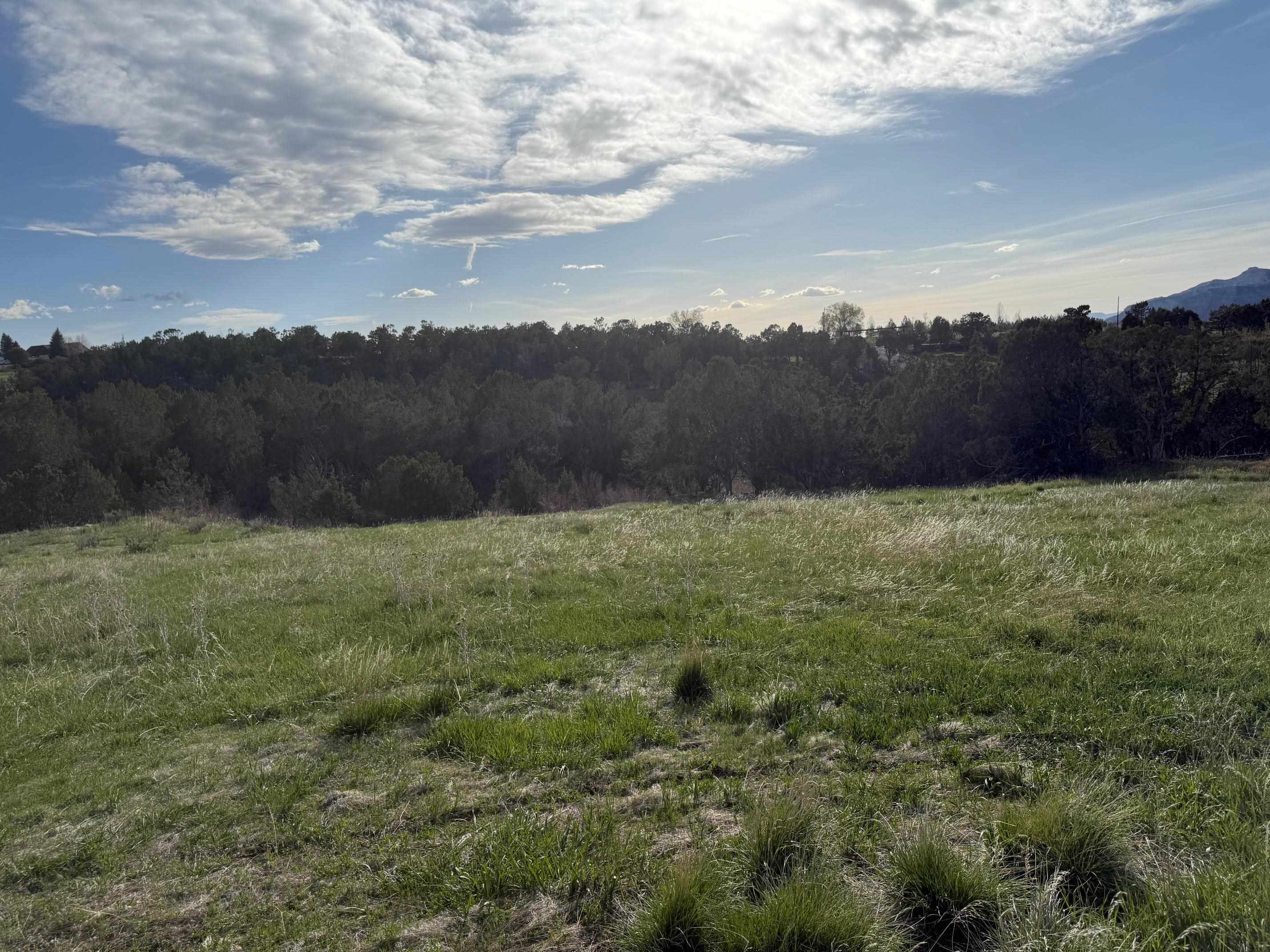 14495 Scott Loop Collbran, CO 81624 - Photo 7 of 12