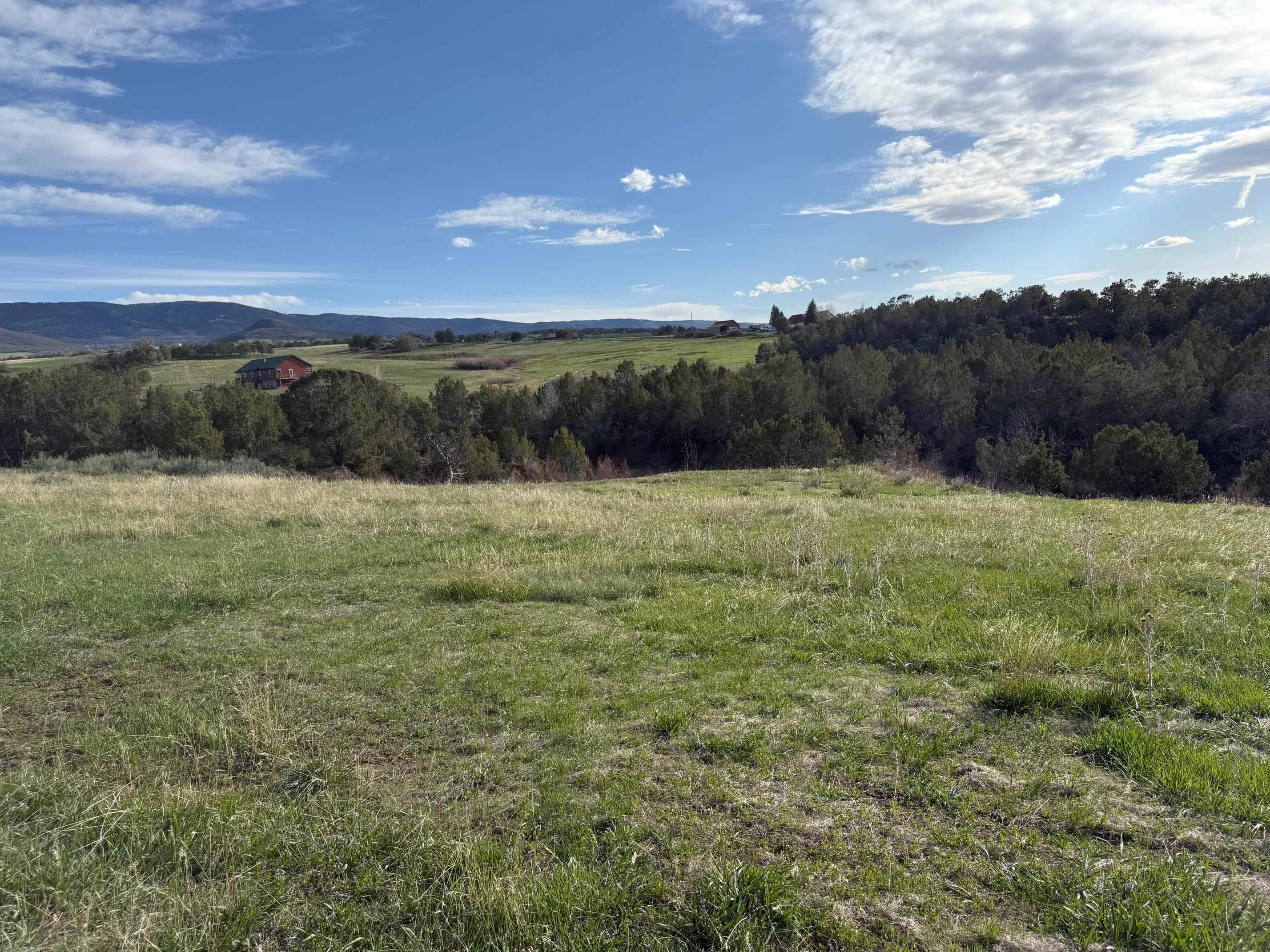 14495 Scott Loop Collbran, CO 81624 - Photo 8 of 12