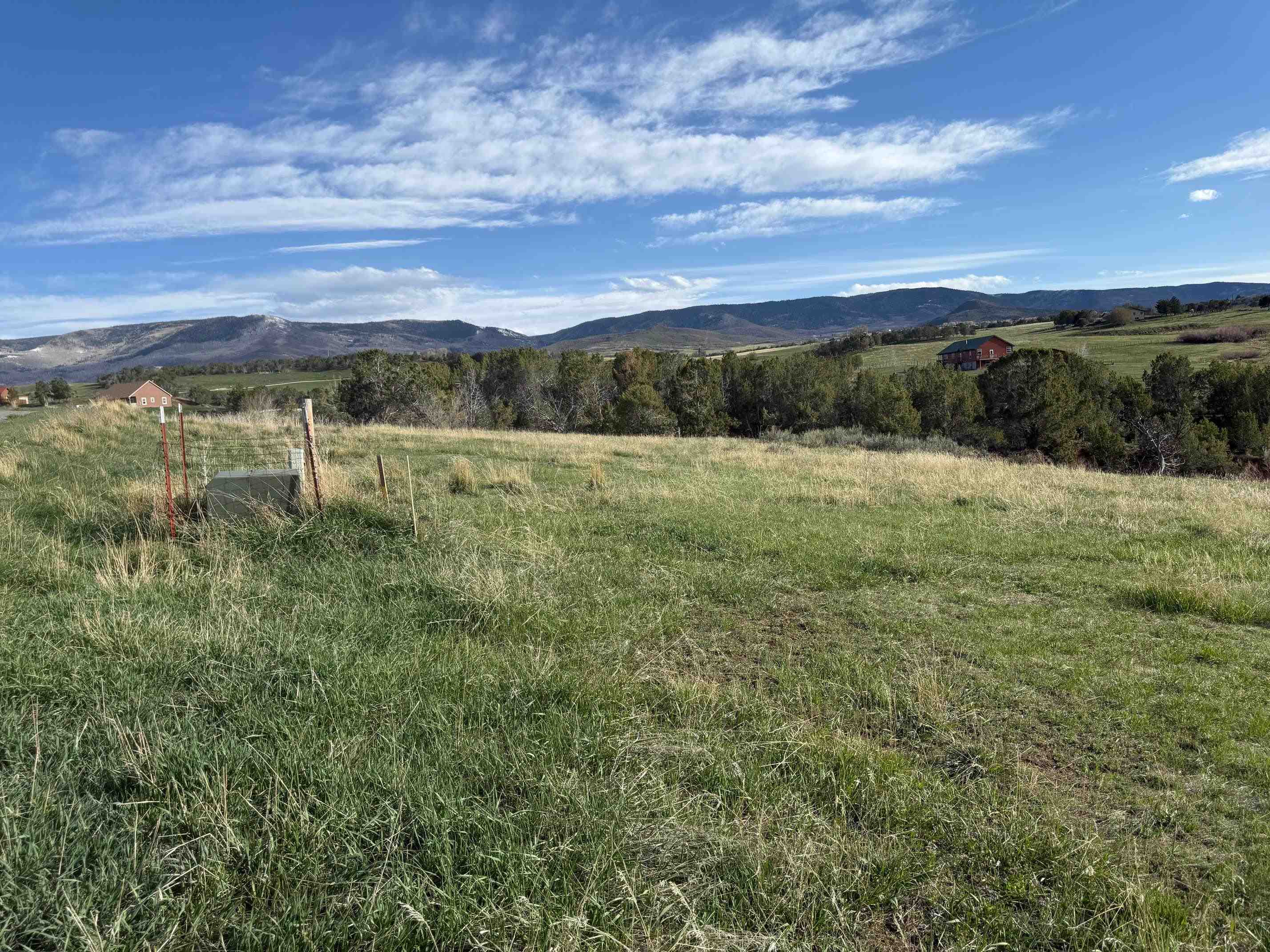 14495 Scott Loop Collbran, CO 81624 - Photo 10 of 12