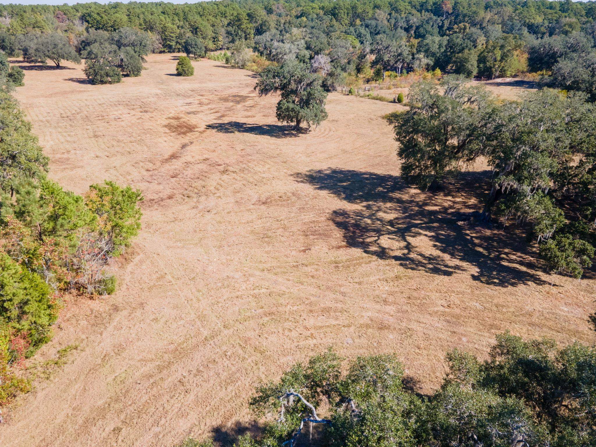 Z Gardners Farm Road Tallahassee, FL 32312 - Photo 12 of 23