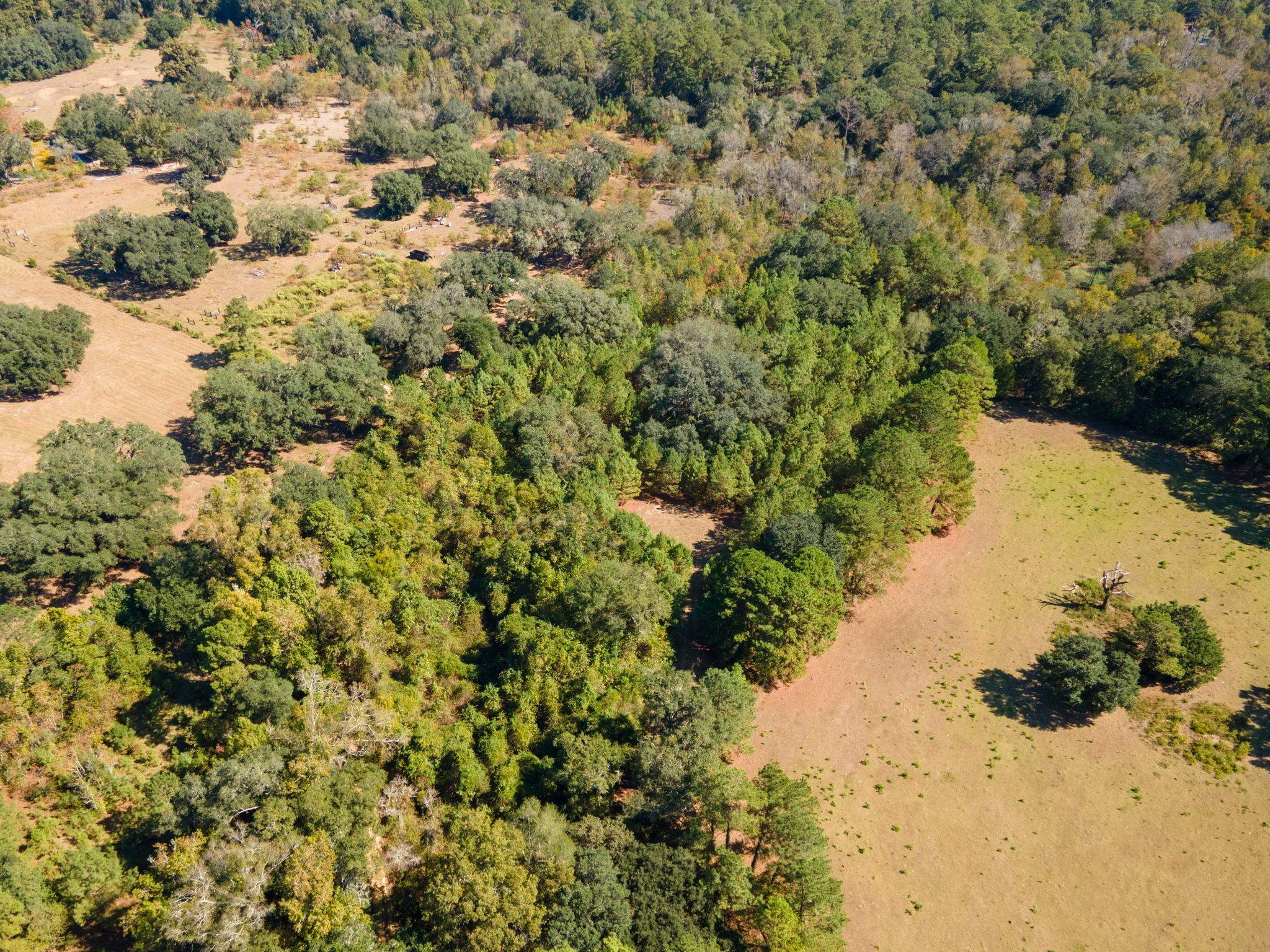 Z Gardners Farm Road Tallahassee, FL 32312 - Photo 2 of 23