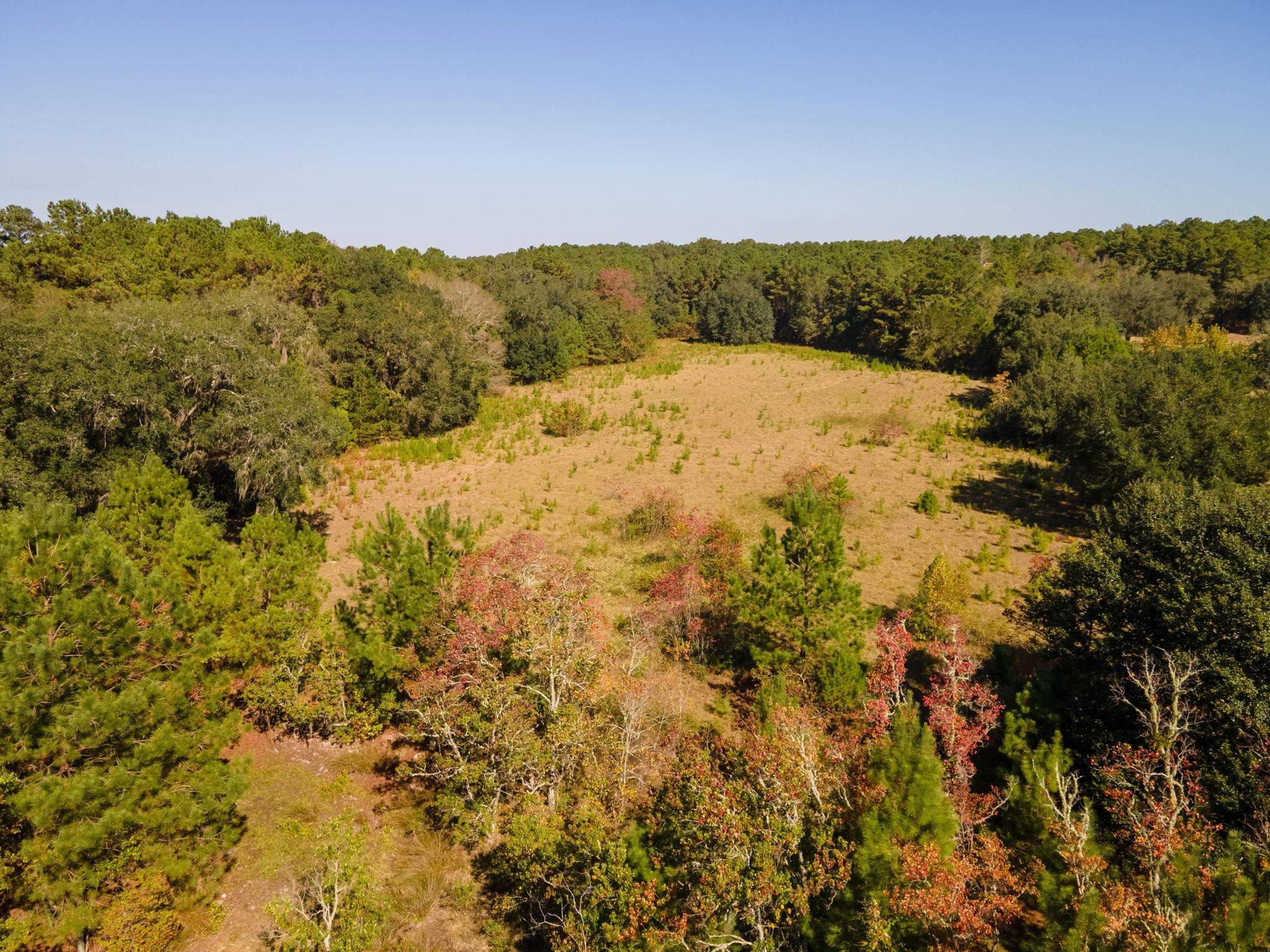 Z Gardners Farm Road Tallahassee, FL 32312 - Photo 4 of 23