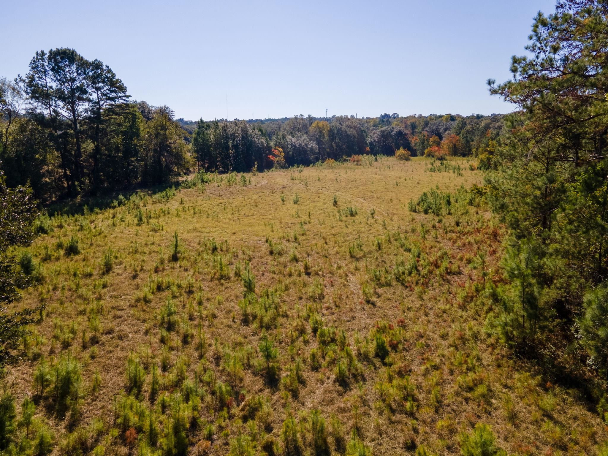 Z Gardners Farm Road Tallahassee, FL 32312 - Photo 5 of 23