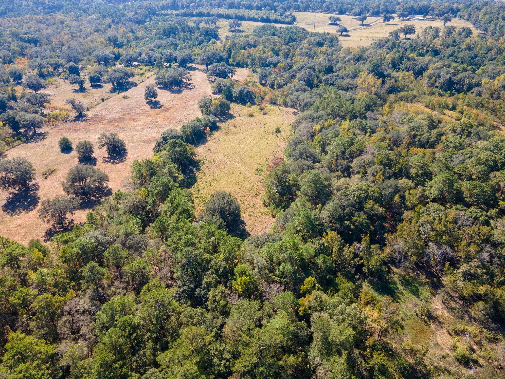 Z Gardners Farm Road Tallahassee, FL 32312 - Photo 6 of 23