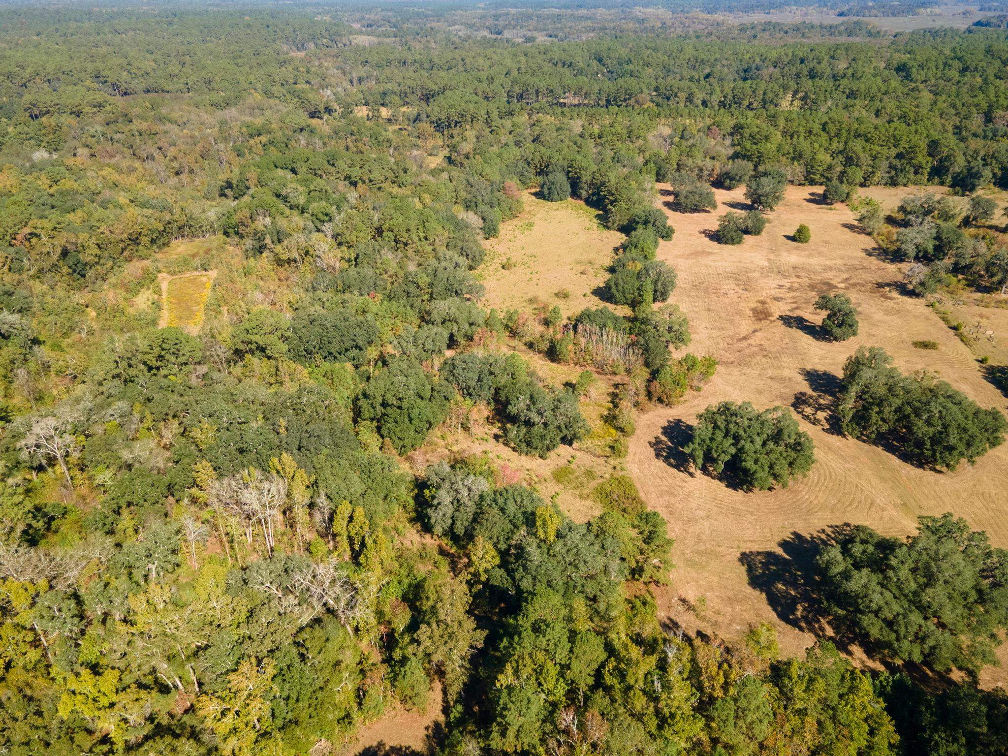 Z Gardners Farm Road Tallahassee, FL 32312 - Photo 8 of 23