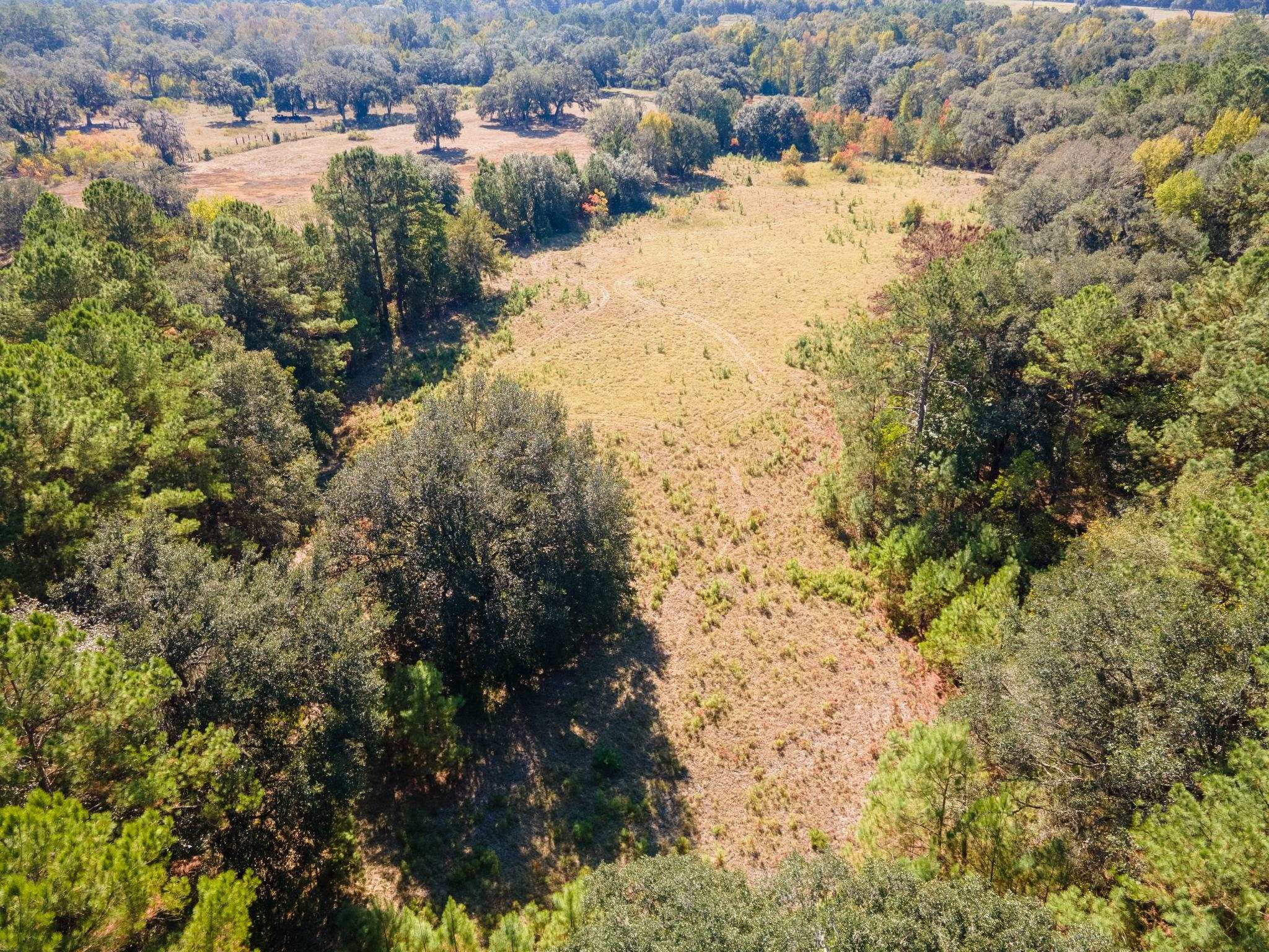 Z Gardners Farm Road Tallahassee, FL 32312 - Photo 9 of 23