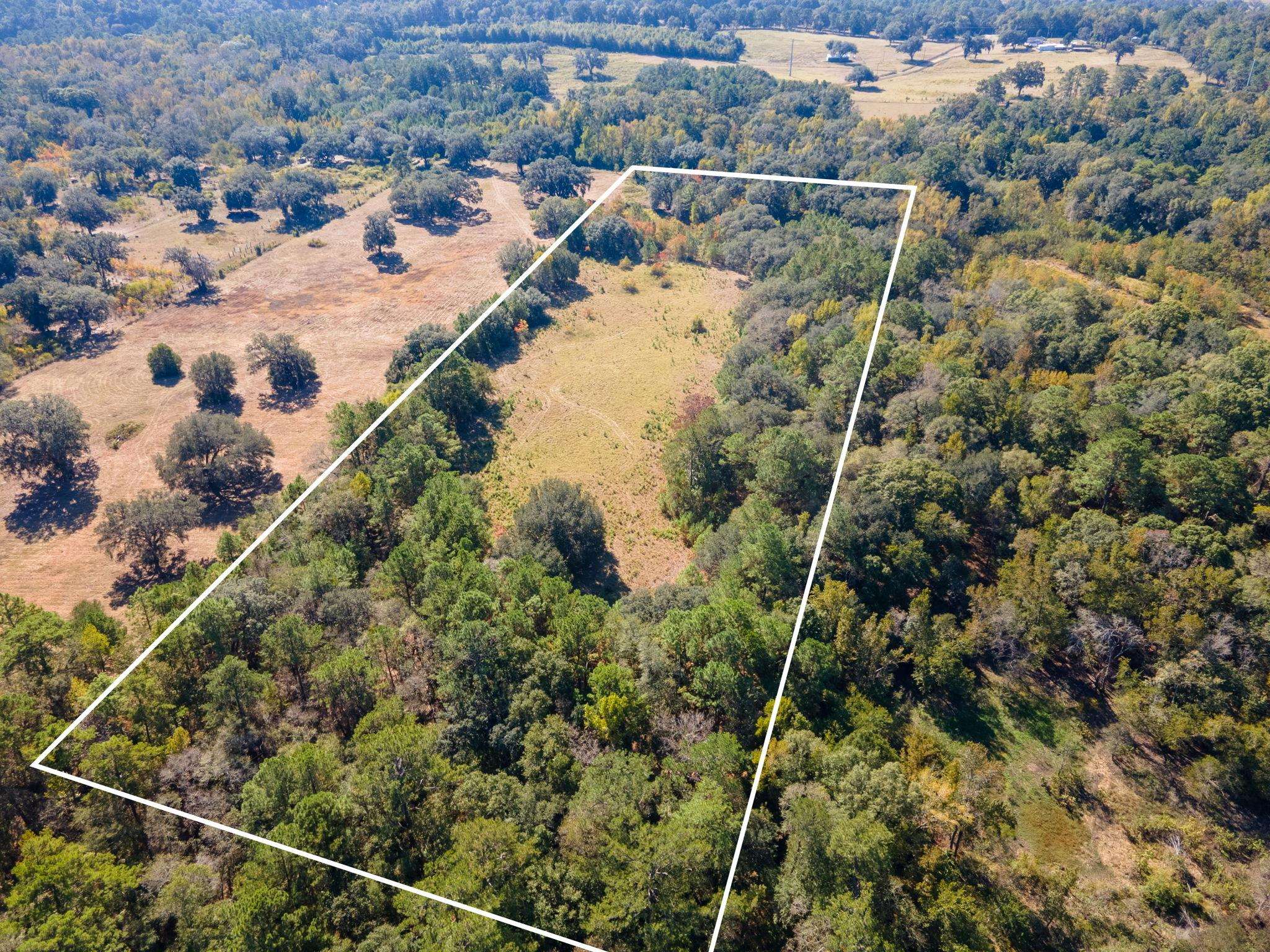 Z Gardners Farm Road Tallahassee, FL 32312 - Photo 10 of 23