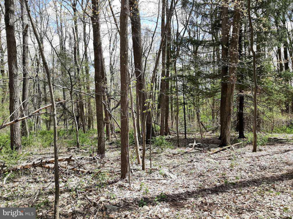 0 Hillcrest Road Barto, PA 19504 - Photo 2 of 3 Gallery Image 2