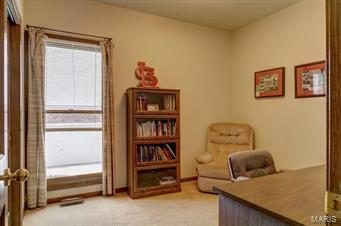 20 Delacroix Place St. Charles, MO 63303 - Photo 24 of 40