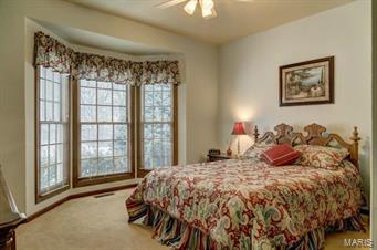 20 Delacroix Place St. Charles, MO 63303 - Photo 25 of 40
