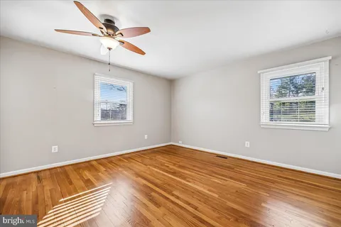 a room with furniture a rug and a potted plant
