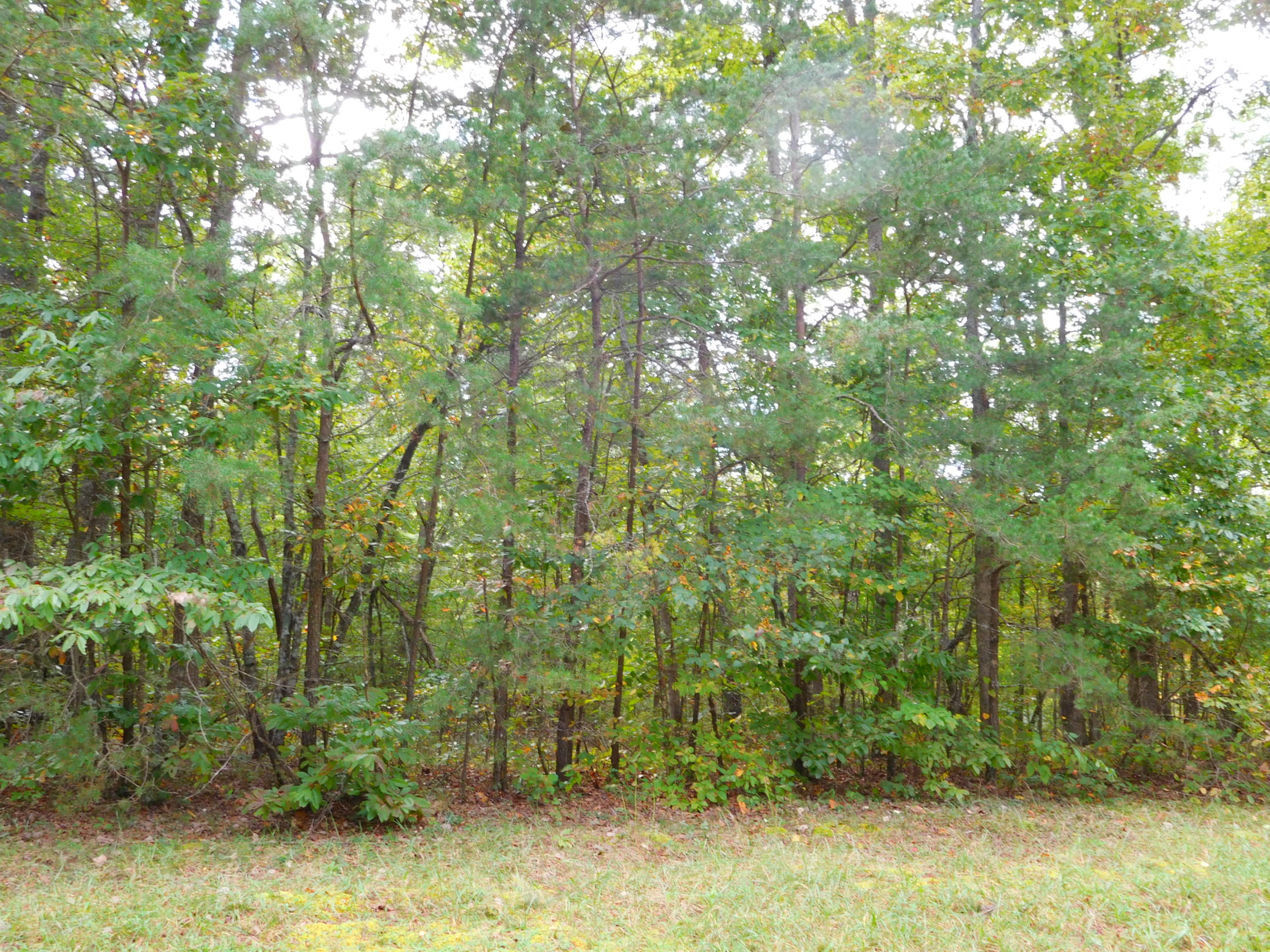Pond Road, Unit 201 Monterey, TN 38574 - Photo 1 of 2 DSCN2757