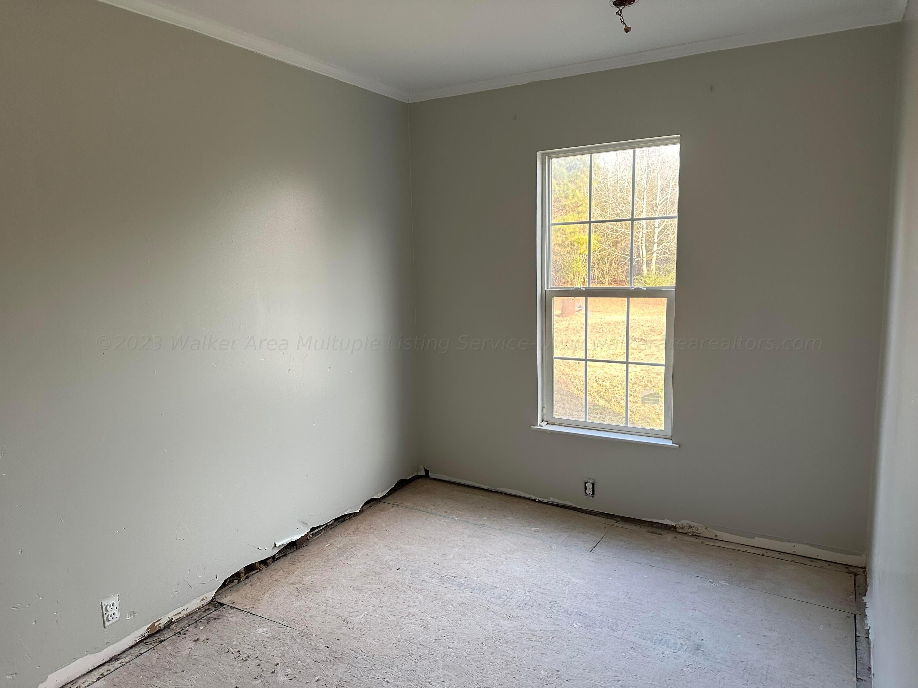 175 Hedgewood Road Jasper, AL 35504 - Photo 2 of 5 Gallery Image 2