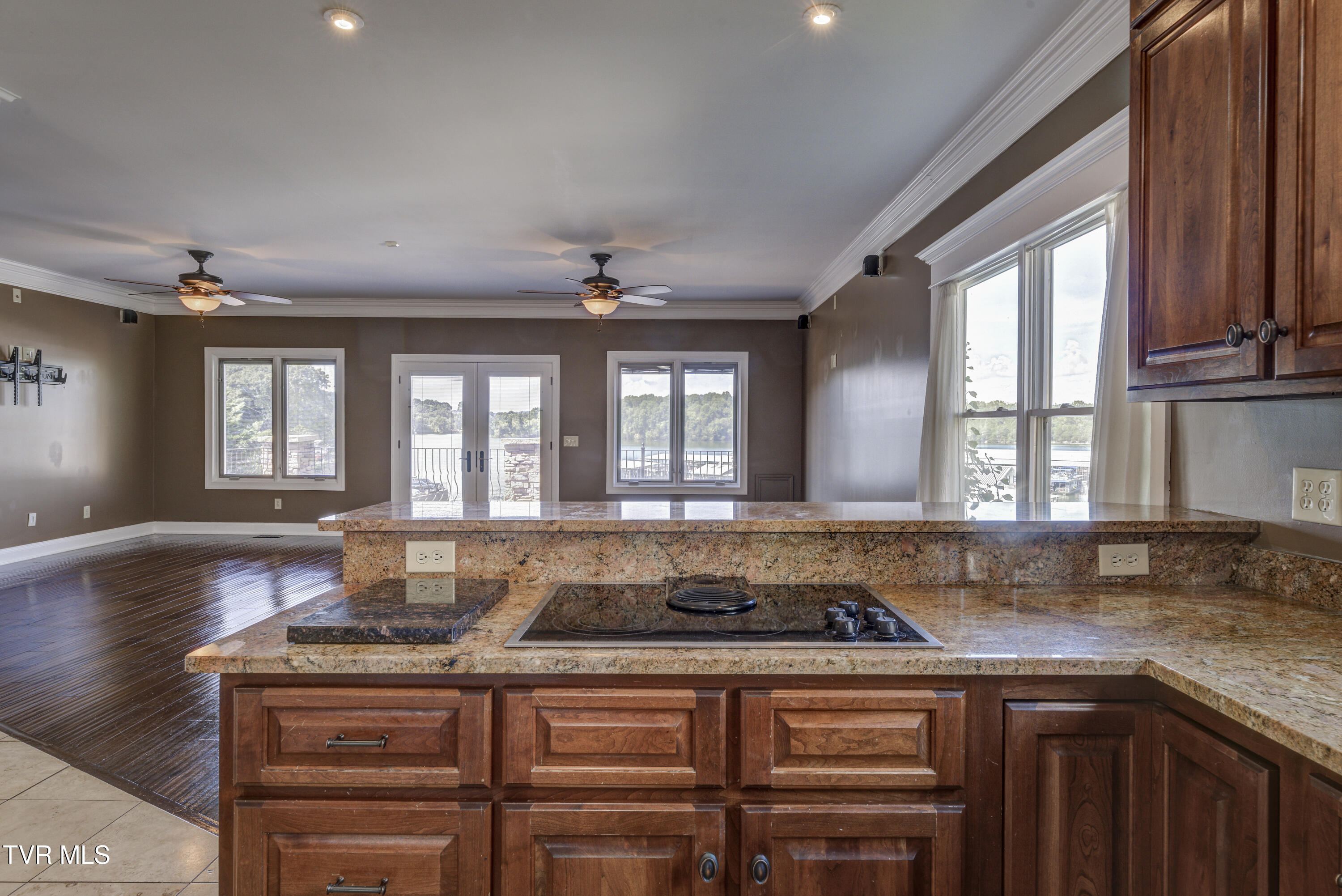 667 Rockingham Road Gray, TN 37615 - Photo 47 of 104 Rockimgham-6